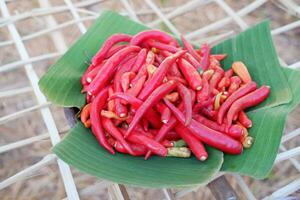 röd varm chili på banan blad för försäljning i marknadsföra, thailand. foto