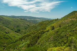 skön grön dal på albergaria da serra, portugal. foto