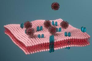 cell membran och coronavirus, medicinsk begrepp, 3d tolkning. foto