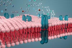 cell membran och biologi, biologisk begrepp, 3d tolkning. foto