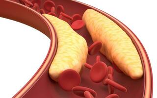 fett och röd blod celler i blod kärl, 3d tolkning. foto