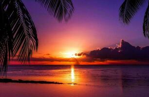tropisk hav solnedgång träd himmel se bakgrund foto