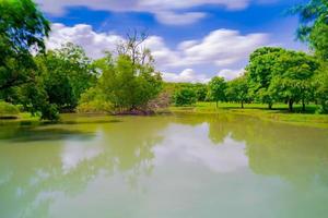 grönt träd i en vacker park under blå himmel med reflektion i vatten foto