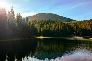 mycket skön landskap av de sjö. grön gran träd mot de bakgrund av en skön sjö. foto