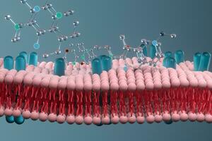 cell membran och biologi, biologisk begrepp, 3d tolkning. foto