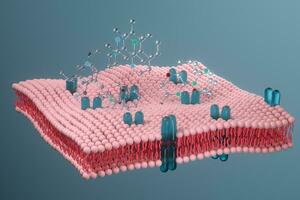 cell membran och biologi, biologisk begrepp, 3d tolkning. foto