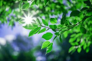 färsk grön löv på skog ai generativ foto