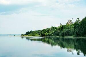 skön landskap - vår översvämning på de flod. de kust med de skog är översvämmad med vatten foto