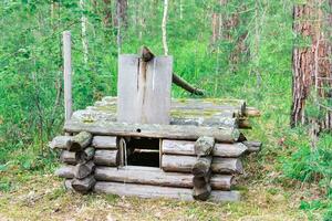 gammal fälla för djur tillverkad av loggar i en sommar skog. liv av förhistorisk stammar foto