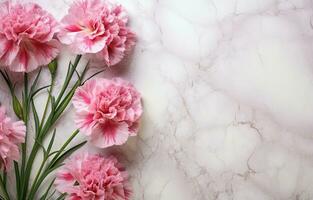 nejlikor är skön blommor uppsättning mot en marmor bakgrund. foto