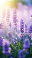 lavendel- blommor flög blomning över sommar landskap ,närbild syn, generativ ai foto