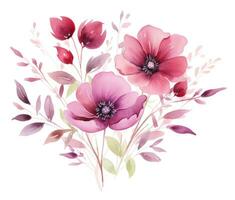 rosa vattenfärg blommor isolerat foto