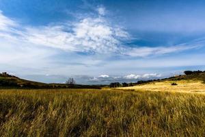 landskap vid Selinunte i Sicilien, Italien foto