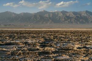 de torr landa, de jord förbi de salt sjö i qinghai, Kina. foto