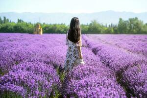 lavendel- herrgård på en solig dag. foto