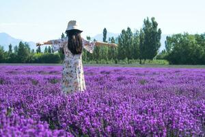 lavendel- herrgård på en solig dag. foto