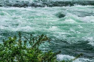 Niagara River 2017 foto