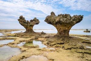 stenar i okinawa, japan foto