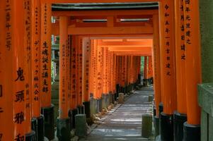 de helgedom av de tusen toriien portar. fushimi inari helgedom. den är känd för dess tusentals av cinnober toriien portar. japan foto