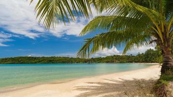 vacker tropisk strand och hav med kokospalmer under blå himmel