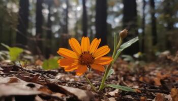 gul kamomill blomma i en äng, vibrerande skönhet i natur genererad förbi ai foto