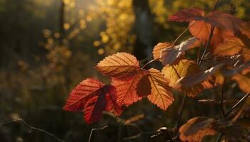 vibrerande höst skog, gul löv, natur skönhet i mång färger genererad förbi ai foto
