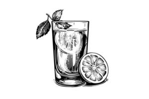dryck citronsaft med citron- och mynta hand dragen gravyr stil vektor illustration foto