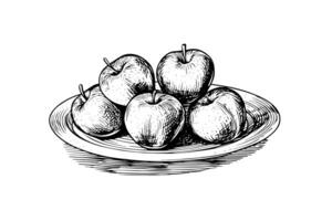 äpple frukt på tallrik hand dragen gravyr stil vektor illustrationer. foto