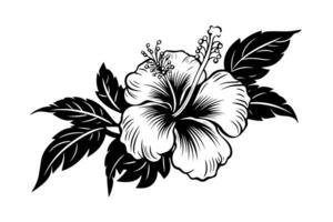 hibiskus blommor i en årgång träsnitt graverat etsning stil. vektor illustration. foto