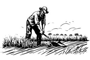 Lycklig jordbrukare i hatt Arbetar på de fält gravyr stil. hand dragen bläck skiss. vektor logotyp illustration. foto