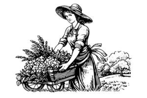 en kvinna jordbrukare skörd i de fält i gravyr stil. teckning bläck skiss vektor illustration. foto