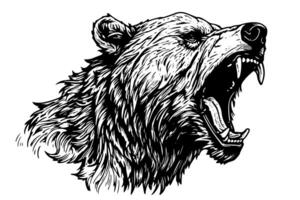 bläck hand teckning skiss Björn maskot eller logotyp huvud. vektor illustration i gravyr stil. foto