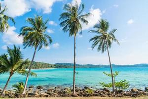 kokospalmer på stranden och havet foto