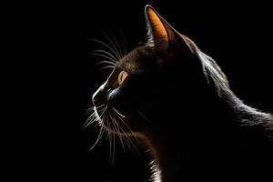 en svart katt är silhouetted mot en mörk bakgrund generativ ai foto