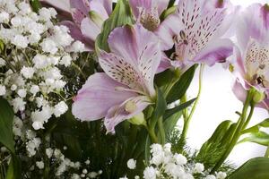 bakgrund av blommor av lila doftande lilja i närbild foto