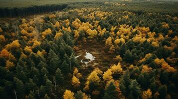 generativ ai, höst färgrik skog skön landskap i hipster årgång retro stil, dämpad neutral färger. foto