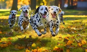 en grupp av förtjusande och lekfull dalmatian hundar löpning och leka på grön gräs i en parkera. ai genererad foto