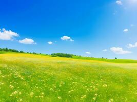 naturlig färgrik panorama- landskap med många vild blommor av daisy mot blå himmel. ai genererad foto