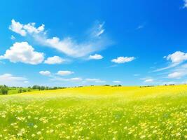 naturlig färgrik panorama- landskap med många vild blommor av daisy mot blå himmel. ai genererad foto