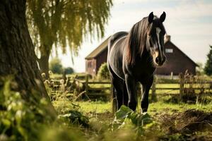 häst ranch med grön landskap foto