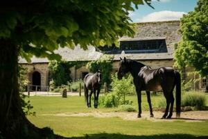 häst ranch med grön landskap foto