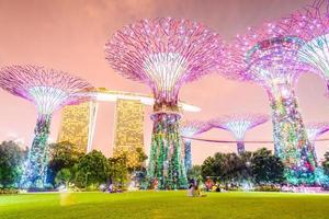 supertree lund i singapore foto