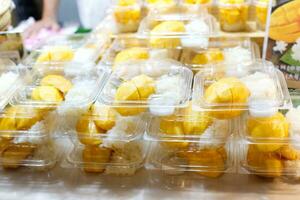 mango klibbig ris tjäna i plast låda packa försäljning i thai gata mat marknadsföra foto