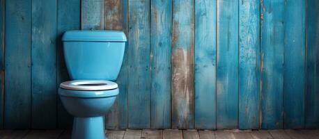 gammal toaletter hade trä- väggar men nu de är tillverkad med blå keramisk foto