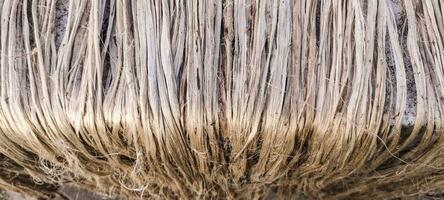 en stänga upp Foto av jute fiber närbild skott, rå jute fiber hängande under de Sol för naturlig torkning