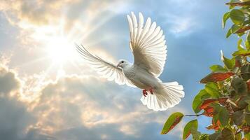 en vit duva bärande blad gren på blå himmel luft med moln och solstrålar. frihet begrepp och internationell dag av fred. generativ ai foto