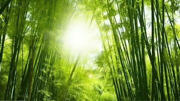 lugn i de asiatisk bambu skog, badade i morgon- solljus. generativ ai foto