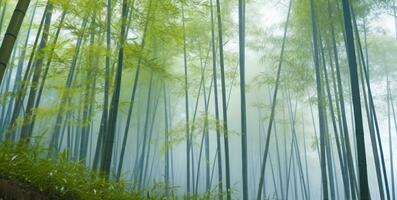 bambu skog i dimma, naturlig bakgrund, generativ ai foto