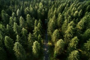 antenn se av grön barr- skog. Drönare fotografi. antenn se av skog, ai genererad foto