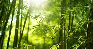 asiatisk bambu skog med morgon- solljus. generativ ai foto